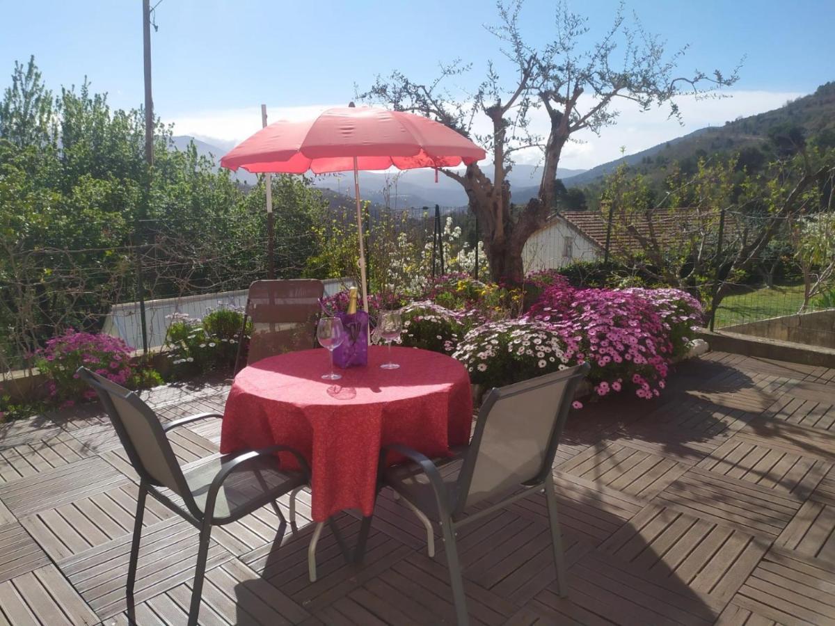 Studio Le Romantique A 20 Kms De Nice Bendéjun Eksteriør billede